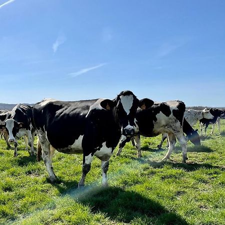Chambre A La Ferme Precy-le-Sec Εξωτερικό φωτογραφία